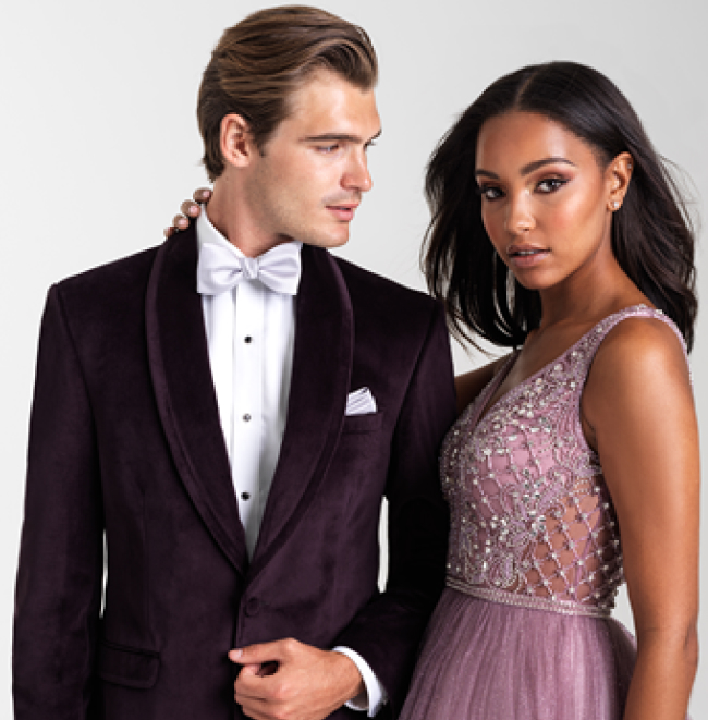 Venice Velvet Suit by Allure