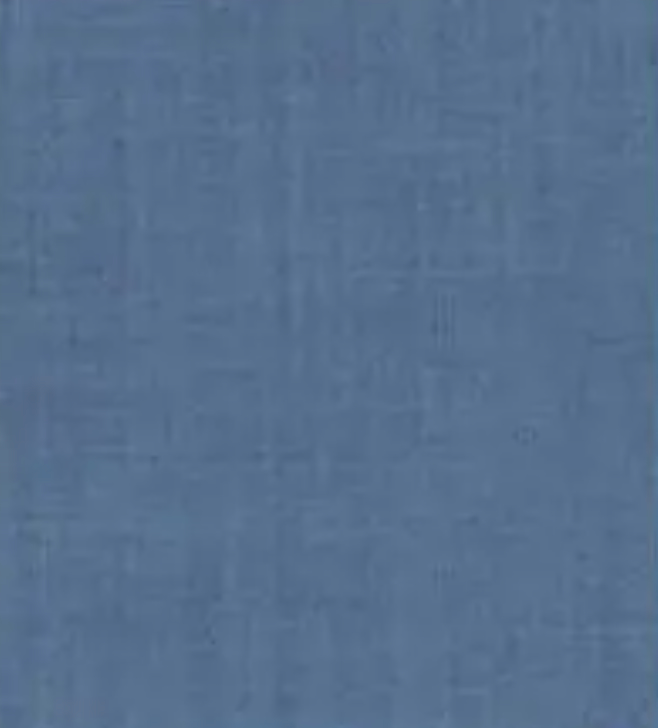 Solid blue textured background with a soft brushed pattern, resembling fabric or plaster.