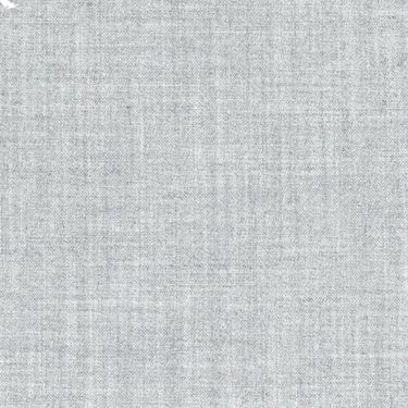 Light Grey Suit Swatch